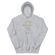 Load image into Gallery viewer, Masonic OB Hoodie
